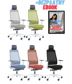 Fotel ergonomiczny biurowy Shine EFG 100W