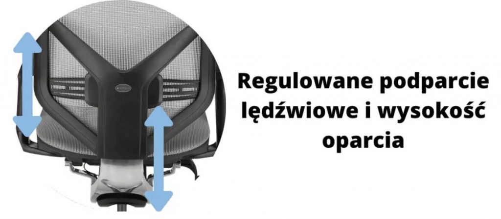 Wygodny fotel ergonomiczny biurowy Zhuo Insight