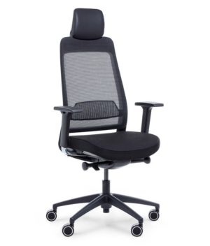 Fotel ergonomiczny Shine EFG 100B