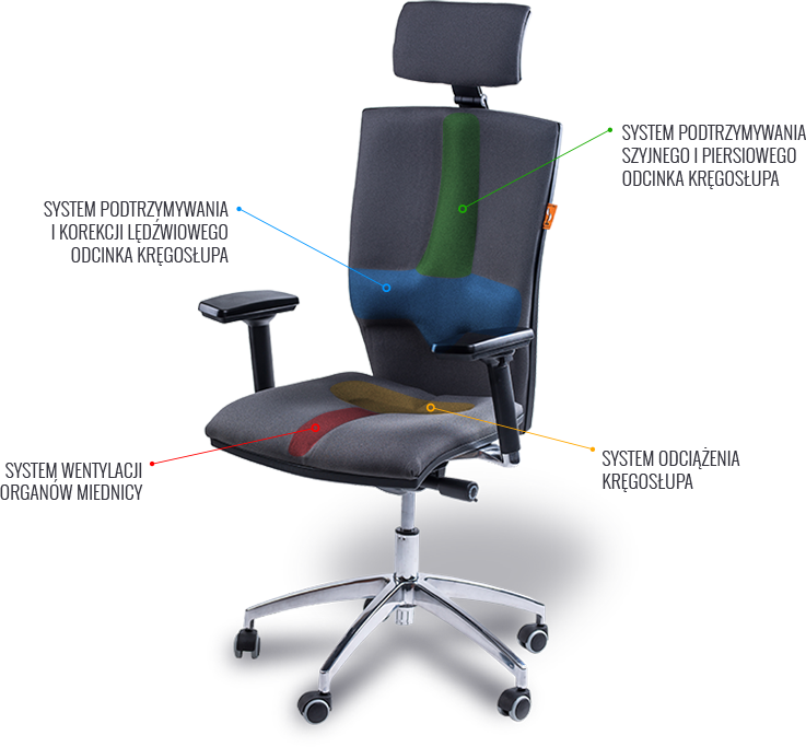 fotel biurowy ergonomiczny Elegance system zdrowego siedzenia